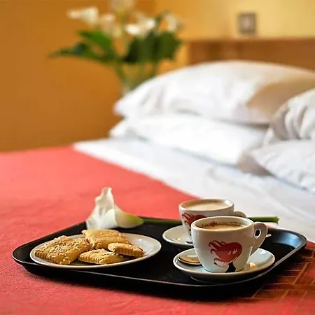 Hotel Festival 2*